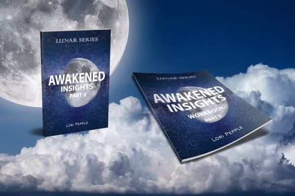 Awakened Insights Part II + Workbook